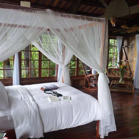 Rio Magnolia Nature Lodge Tinamaste Exterior foto