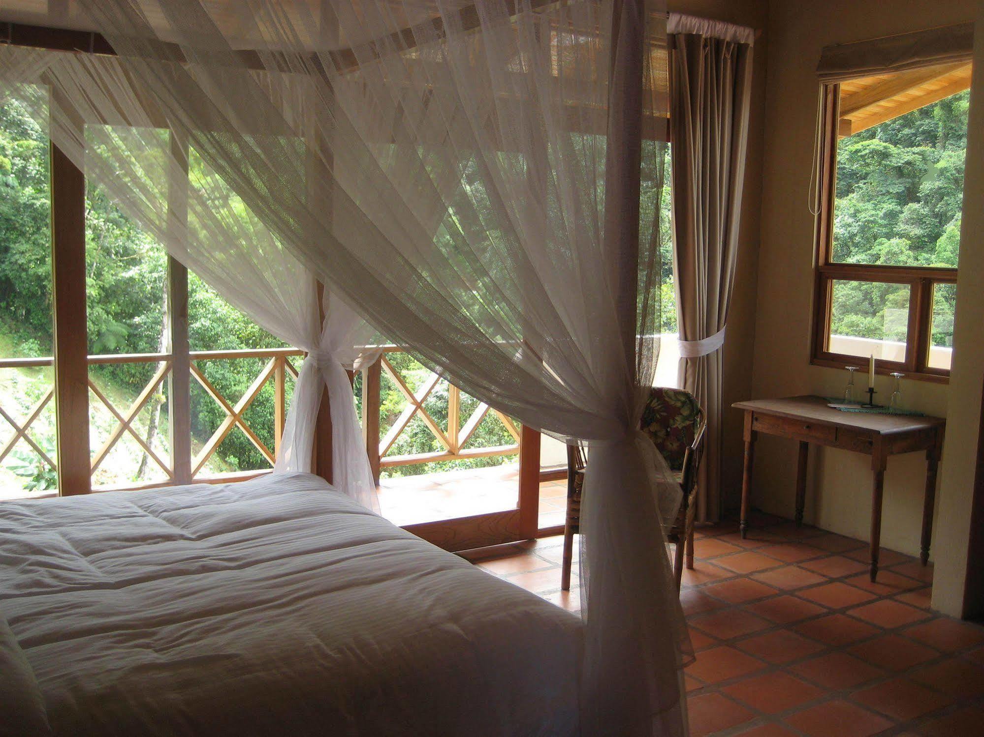 Rio Magnolia Nature Lodge Tinamaste Exterior foto